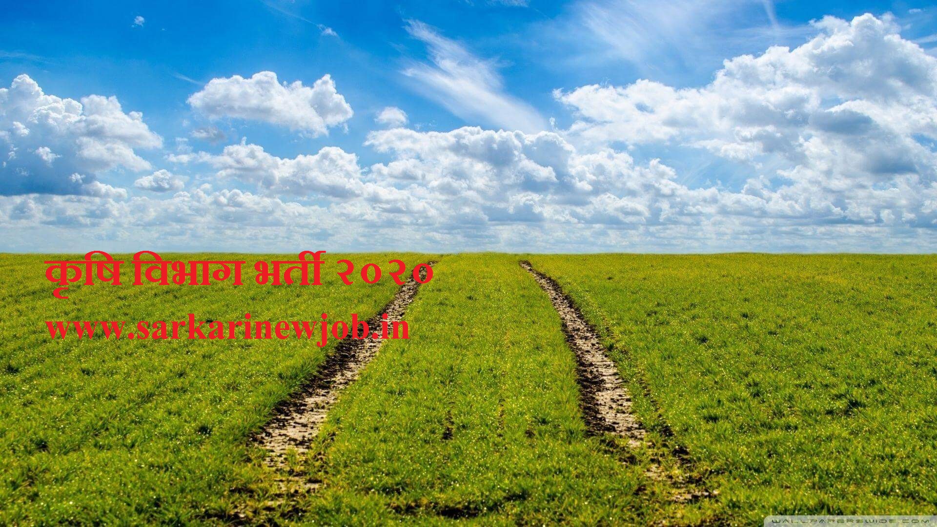 Krishi Vibhag Bharti 2020 2167 Post Application Form Sarkari Result Krishi Vibhag Bharti 2020 2167 Post Application Form Sarkari Result