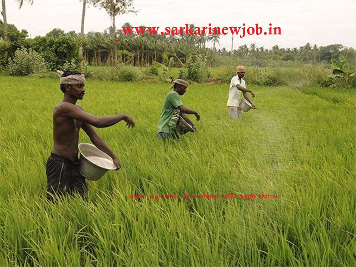Assam Agriculture Recruitment 2021 Apply Online Assam Agriculture Recruitment 2021 Apply Online, assam agriculture recruitment 2021 syllabus agriculture bharti ,Krishi Vibhag Vacancy 2021,