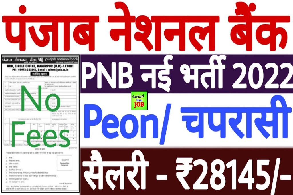 PNB Peon Recruitment 2023 » Notification (Release) , check Notification details here pnbindia.in, Big Update पंजाब नेशनल बैंक में बंपर वैकेंसी,