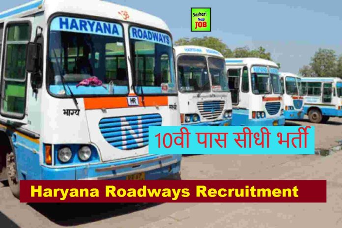 Haryana Roadways Hisar Recruitment 2023 » Salary, How To Apply Apprentice 93 Post Big News हरियाणा रोडवेज भर्ती Haryana Roadways Hisar Recruitment 2023 » Salary, How To Apply Apprentice 93 Post Big News हरियाणा रोडवेज भर्ती