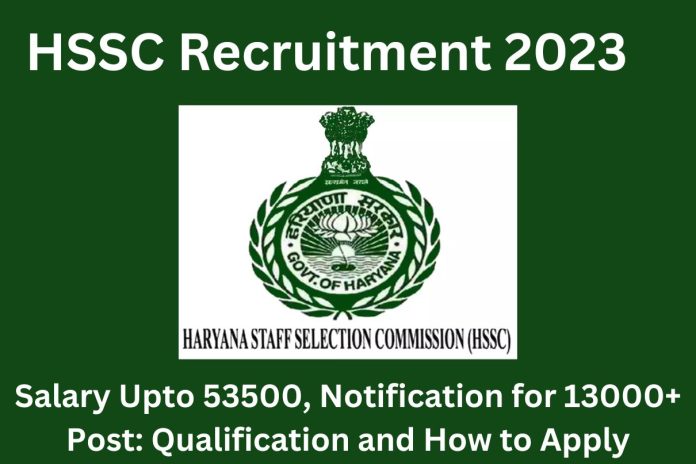 HSSC Recruitment 2023 : Salary Upto 53500, Notification for 13000+ Post: Qualification and How to Apply HSSC Recruitment 2023 : Salary Upto 53500, Notification for 13000+ Post: Qualification and How to Apply