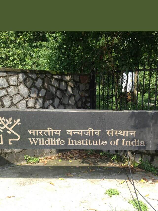 WII Recruitment 2023 : वन्यजीव संस्थान में निकली भर्ती, जानें आवेदन प्रक्रिया और पात्रता