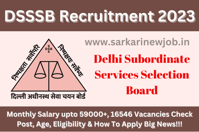 DSSSB Recruitment 2023 Monthly Salary upto 59000+, 16546 Vacancies Check Post, Age, Eligibility & How To Apply Big News!!! DSSSB Recruitment 2023 Monthly Salary upto 59000+, 16546 Vacancies Check Post, Age, Eligibility & How To Apply Big News!!!