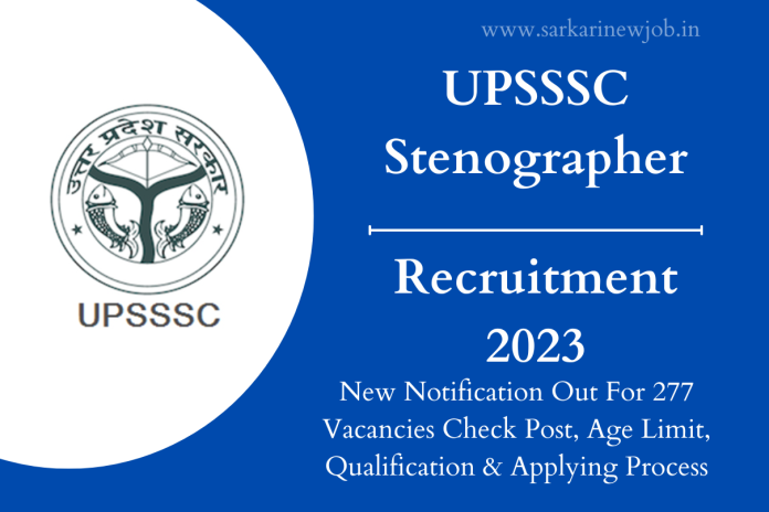 UPSSSC Stenographer Recruitment 2023 New Notification Out For 277 Vacancies Check Post, Age Limit, Qualification & Applying Process UPSSSC Stenographer Recruitment 2023 New Notification Out For 277 Vacancies Check Post, Age Limit, Qualification & Applying Process