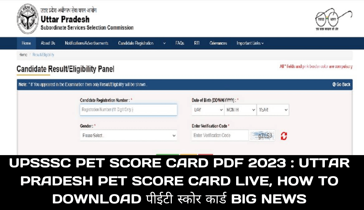 UPSSSC PET Score Card PDF 2023  Uttar Pradesh PET Score Card Live, How to Download पीईटी स्कोर कार्ड Big News