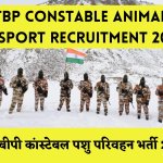 ITBP Constable Animal Transport Recruitment 2024 : आईटीबीपी कांस्टेबल पशु परिवहन भर्ती 2024