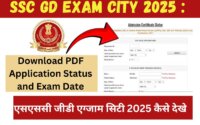 SSC GD Exam City 2025 : Download PDF Application Status and Exam Date एसएससी जीडी एग्जाम सिटी 2025 कैसे देखे