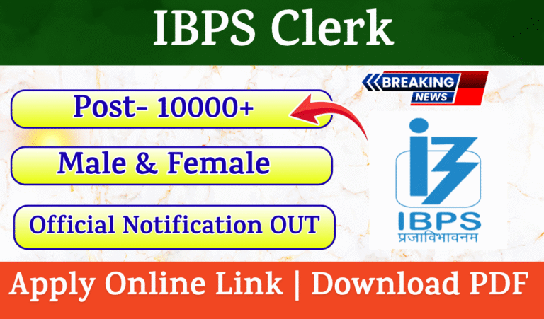 IBPS Clerk Recruitment 2025 New Notification Out For 10277 Various Post, Apply Online Now
